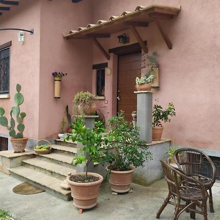 Casa Nupa Torri in Sabina Exterior foto